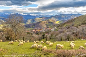 Bosques-Cantabria-Otoño